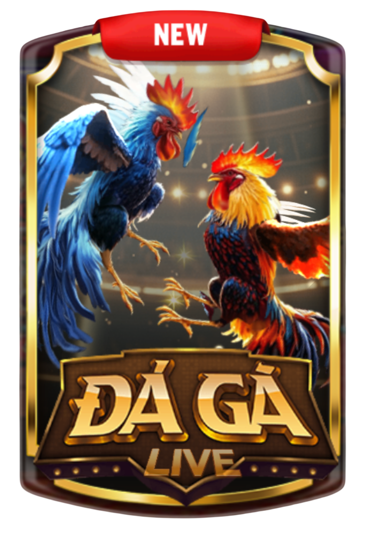 Đá gà trực tiếp Go88