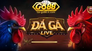 Tìm hiểu về đá gà Go88