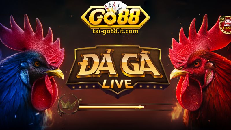 Tìm hiểu về đá gà Go88